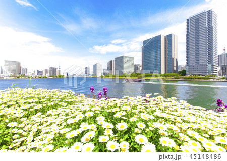 庭園のある都市風景 庭園のある都市風景 45148486