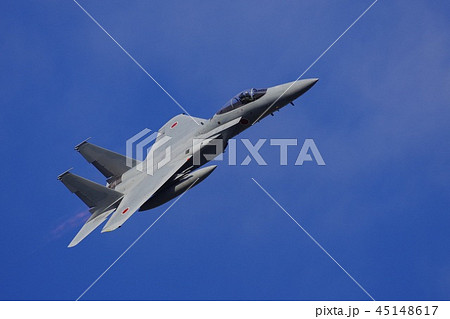 航空自衛隊のF-15Jイーグル 45148617