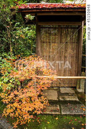 光悦寺の紅葉、苔むした露地の中門にドウダンツツジ 光悦寺の紅葉、苔むした露地の中門にドウダンツツジ 45150848