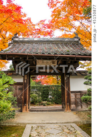 源光庵の紅葉、山門 45150877