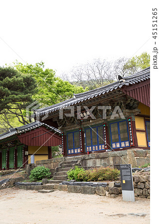 清道郡 慶北 節 45151265