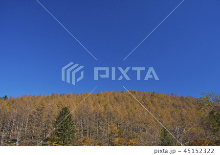 紅葉の柳沢峠 紅葉の柳沢峠 45152322