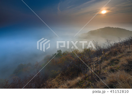 Autumn morning. Fall mist. Enchanted foggy forest Autumn morning. Fall mist. Enchanted foggy forest 45152810