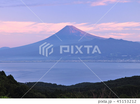 達磨山高原からの富士山-8356 45153212