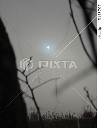 濃霧の中から見上げる太陽 45153707