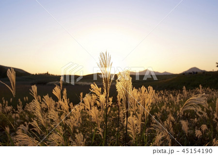夕暮れの秋の曽爾高原 夕暮れの秋の曽爾高原 45154190