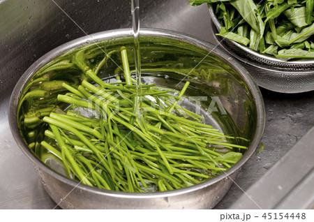 野菜を洗う 空心菜の下拵え（空心菜の葉と茎の水洗い）（エンサイ）ウンチェーバー 45154448