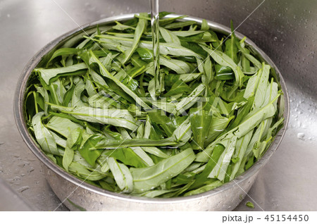 空心菜の下拵え（空心菜の葉部分の水洗い） （エンサイ）ウンチェーバー 45154450