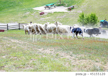 江原道 韓国 屋外 45155120