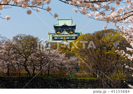 大阪城と桜 45155684
