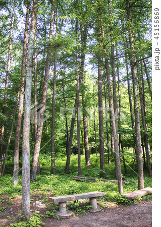 自然 風景 コンセプト 45156869