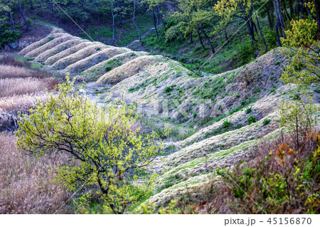 仁川 インチョン 韓国 45156870