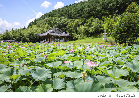 全北 韓国 屋外 45157515