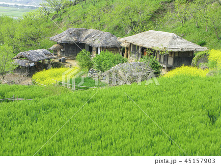 全羅南道 韓国 屋外 45157903