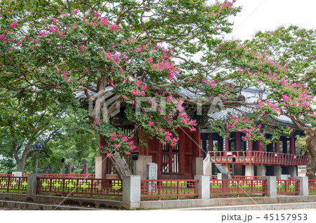 全北 韓国 屋外 45157953