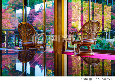 環境芸術の森の紅葉 【佐賀県唐津市】 環境芸術の森の紅葉 【佐賀県唐津市】 45158751