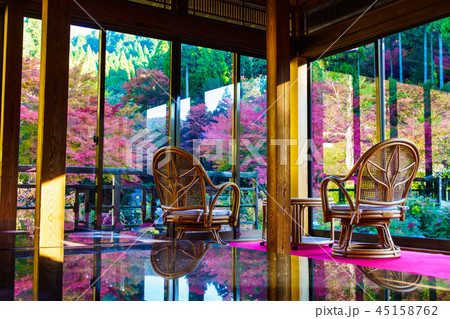 環境芸術の森の紅葉　【佐賀県唐津市】 45158762