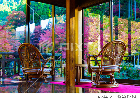 環境芸術の森の紅葉　【佐賀県唐津市】 45158763