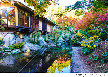 環境芸術の森の紅葉　【佐賀県唐津市】 45158764