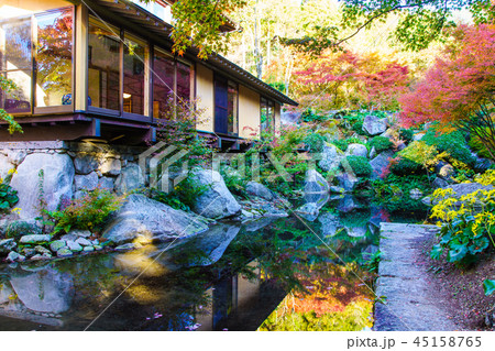 環境芸術の森の紅葉　【佐賀県唐津市】 45158765