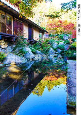 環境芸術の森の紅葉　【佐賀県唐津市】 45158766