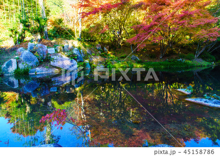 環境芸術の森の紅葉 【佐賀県唐津市】 環境芸術の森の紅葉 【佐賀県唐津市】 45158786