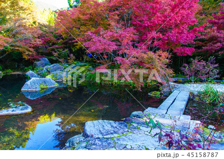 環境芸術の森の紅葉 【佐賀県唐津市】 環境芸術の森の紅葉 【佐賀県唐津市】 45158787