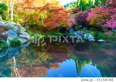 環境芸術の森の紅葉 【佐賀県唐津市】 環境芸術の森の紅葉 【佐賀県唐津市】 45158788