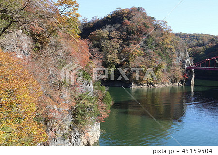 紅葉 紅葉 45159604