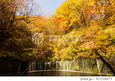 紅葉の白糸の滝 紅葉の白糸の滝 45159977