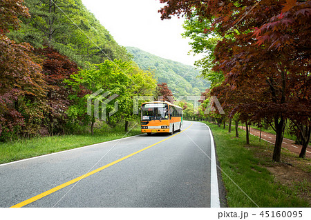 内蔵山 道路 山 45160095