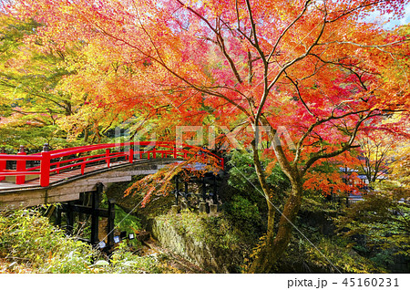 紅葉の河鹿橋2018-2 45160231