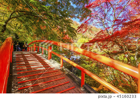 紅葉の河鹿橋2018-3 45160233