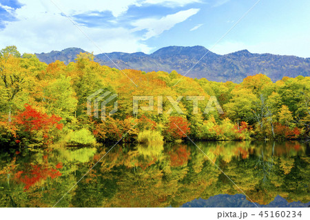 秋の鎌池と紅葉 45160234