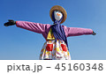青空 かかし 自然 45160348