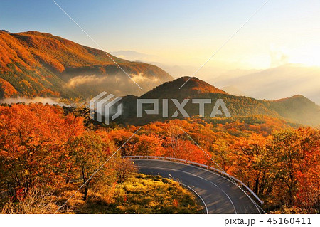 栃木県　日光いろは坂からの秋の風景 45160411