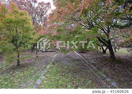 清涼寺(嵯峨釈迦堂)聖徳太子殿 清涼寺(嵯峨釈迦堂)聖徳太子殿 45160626