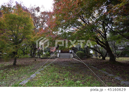 清涼寺(嵯峨釈迦堂)聖徳太子殿 清涼寺(嵯峨釈迦堂)聖徳太子殿 45160629
