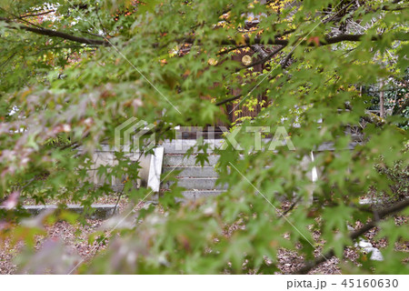 清涼寺（嵯峨釈迦堂）聖徳太子殿 45160630