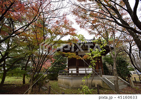 清涼寺(嵯峨釈迦堂)聖徳太子殿 清涼寺(嵯峨釈迦堂)聖徳太子殿 45160633