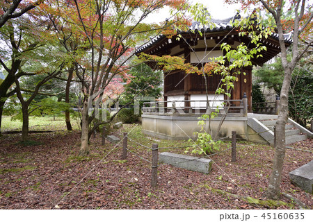 清涼寺(嵯峨釈迦堂)聖徳太子殿 清涼寺(嵯峨釈迦堂)聖徳太子殿 45160635