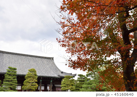 清涼寺（嵯峨釈迦堂）　本堂 45160640