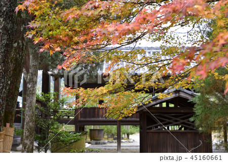 清涼寺（嵯峨釈迦堂） 45160661