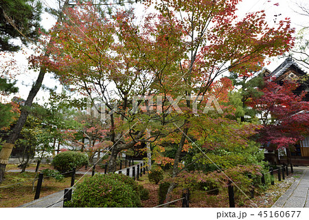 清涼寺（嵯峨釈迦堂） 45160677