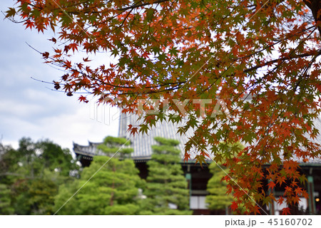 清涼寺（嵯峨釈迦堂） 45160702