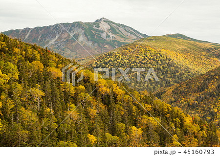 秋の山肌に黒部五郎岳を望む 秋の山肌に黒部五郎岳を望む 45160793