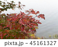 紅葉と湖 45161327
