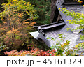 紅葉と寺 45161329