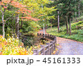 紅葉の道 45161333