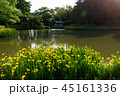 花と池 45161336